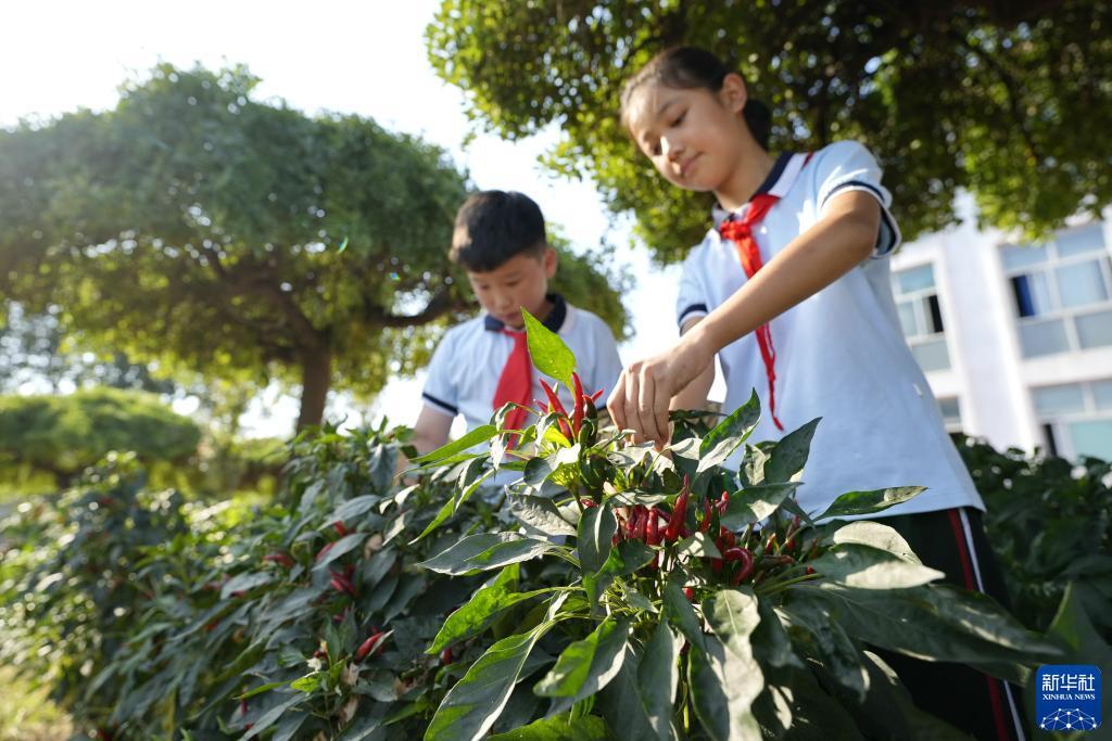 合乐888官网